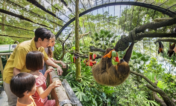 世界でも珍しい 柵のない動物園「シンガポール動物園」